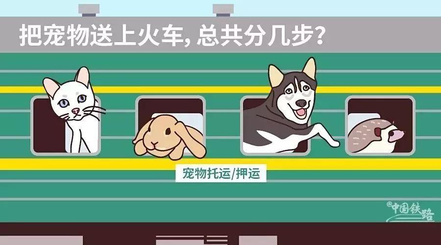 成都寵物火車(chē)托運(yùn)