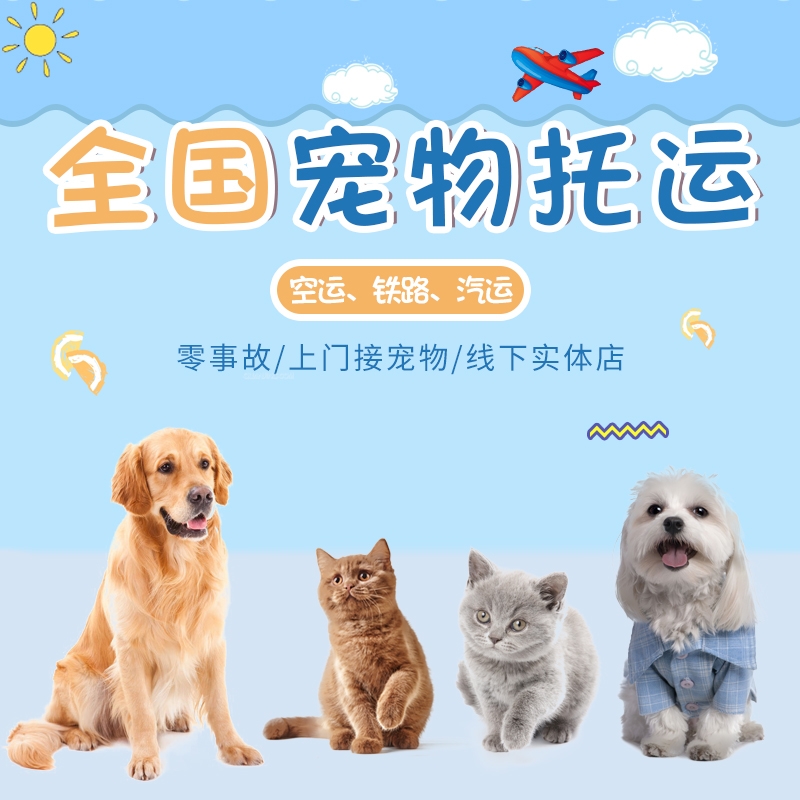 為寵物托運的每一次出行保駕護(hù)航-成都寵物托運公司笨鳥寵物托運！