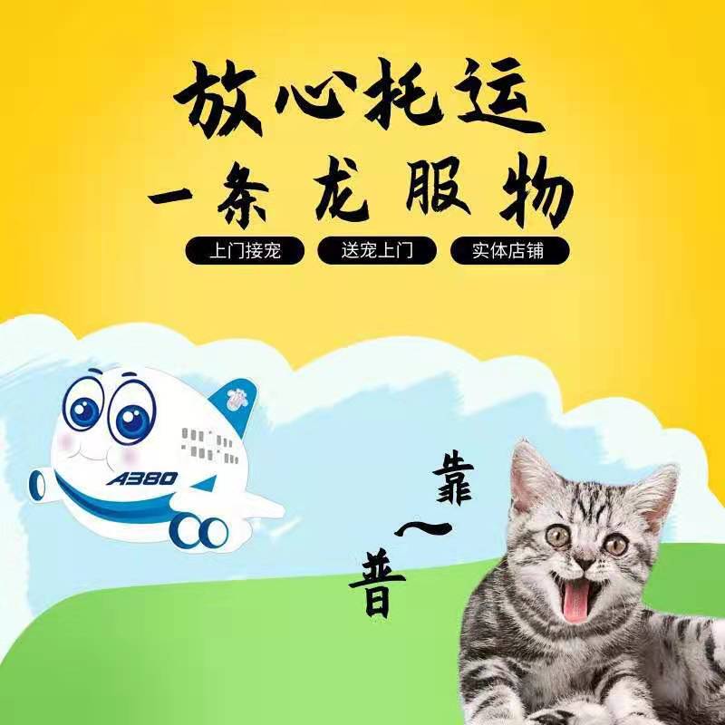 寵物托運需要哪些證件?-成都寵物托運