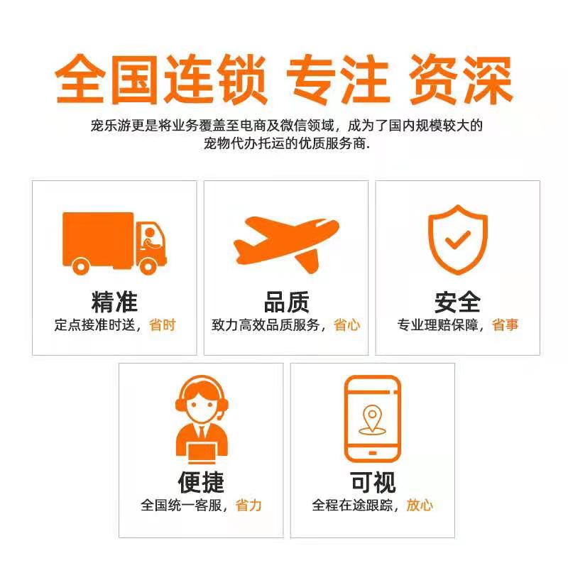 航空貨運(yùn)寵物的基本條件——成都寵物空運(yùn)