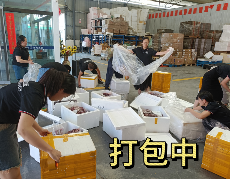 2025062021d2ac9e29154abb1bbe5141dab88169.png